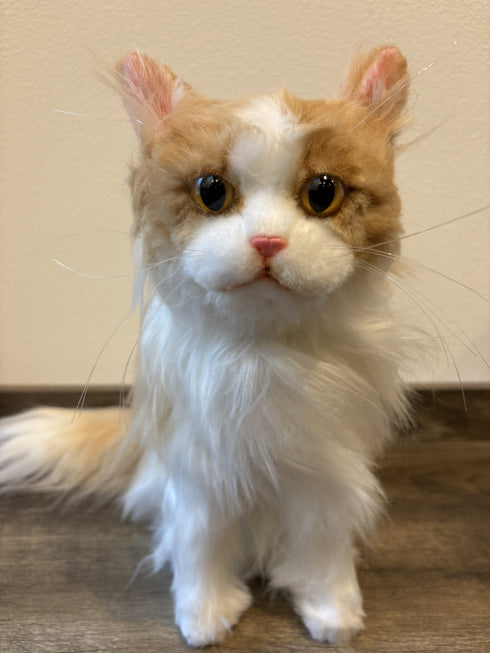 【猫】写真から作るオーダーメイドのぬいぐるみ