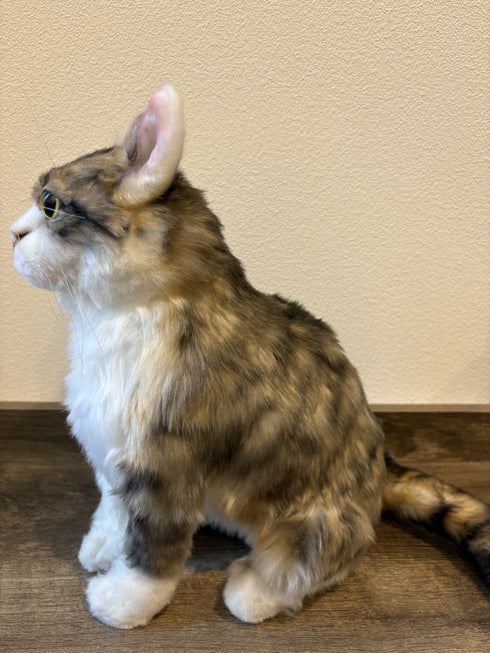 【猫】写真から作るオーダーメイドのぬいぐるみ