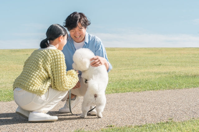 「後悔しないために」― 生前からできる“ペットとの時間の残し方”