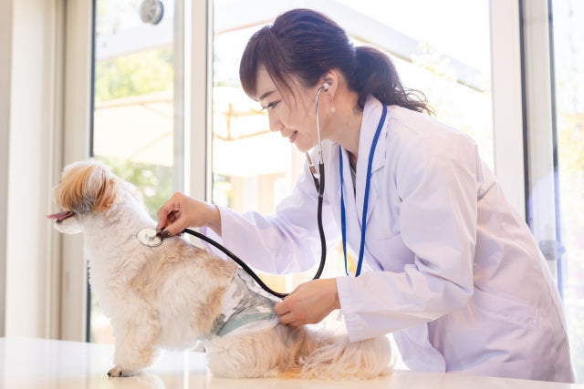 犬種別のかかりやすい病気やアレルギー